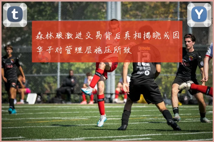 森林狼激进交易背后真相揭晓或因华子对管理层施压所致