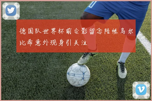 德国队世界杯前合影留念陪练乌尔比希意外现身引关注