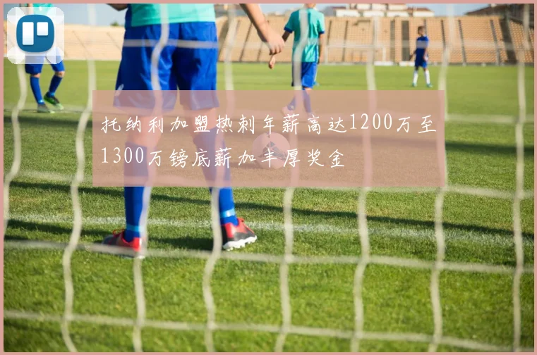 托纳利加盟热刺年薪高达1200万至1300万镑底薪加丰厚奖金