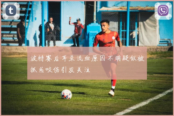 波特赛后耳朵流血原因不明疑似被抓或咬伤引发关注