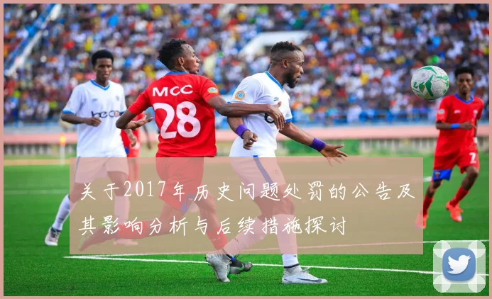 关于2017年历史问题处罚的公告及其影响分析与后续措施探讨